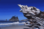 GIF, 5-Bit (32 Farben)7.27KB